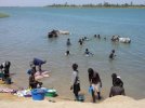 Le fleuve attire la vie