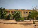 Les arbres de la cour poussent très vite (2009)