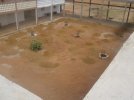 Patio des maternelles