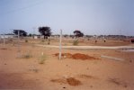 Le terrain du centre Morgane, première visite en octobre 2003