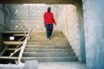 L'escalier dans sa cage (2005)