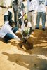 Chaque cellule de l'ASEM plante son arbre