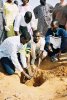 Chaque cellule de l'ASEM plante son arbre