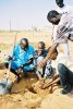 Chaque cellule de l'ASEM plante son arbre